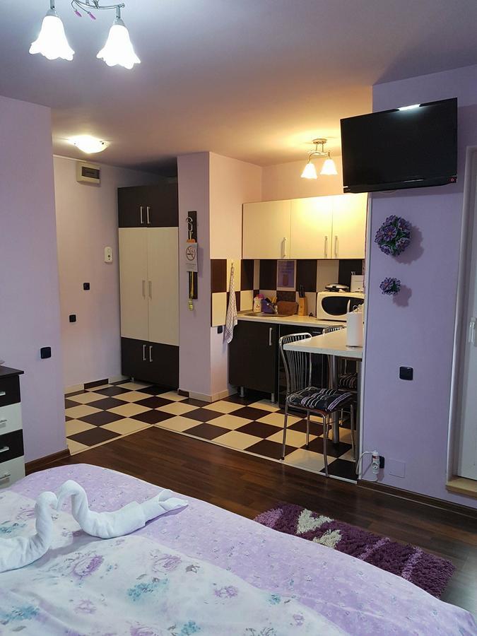 Garsoniera Cristina Apartamento Băile Felix Exterior foto