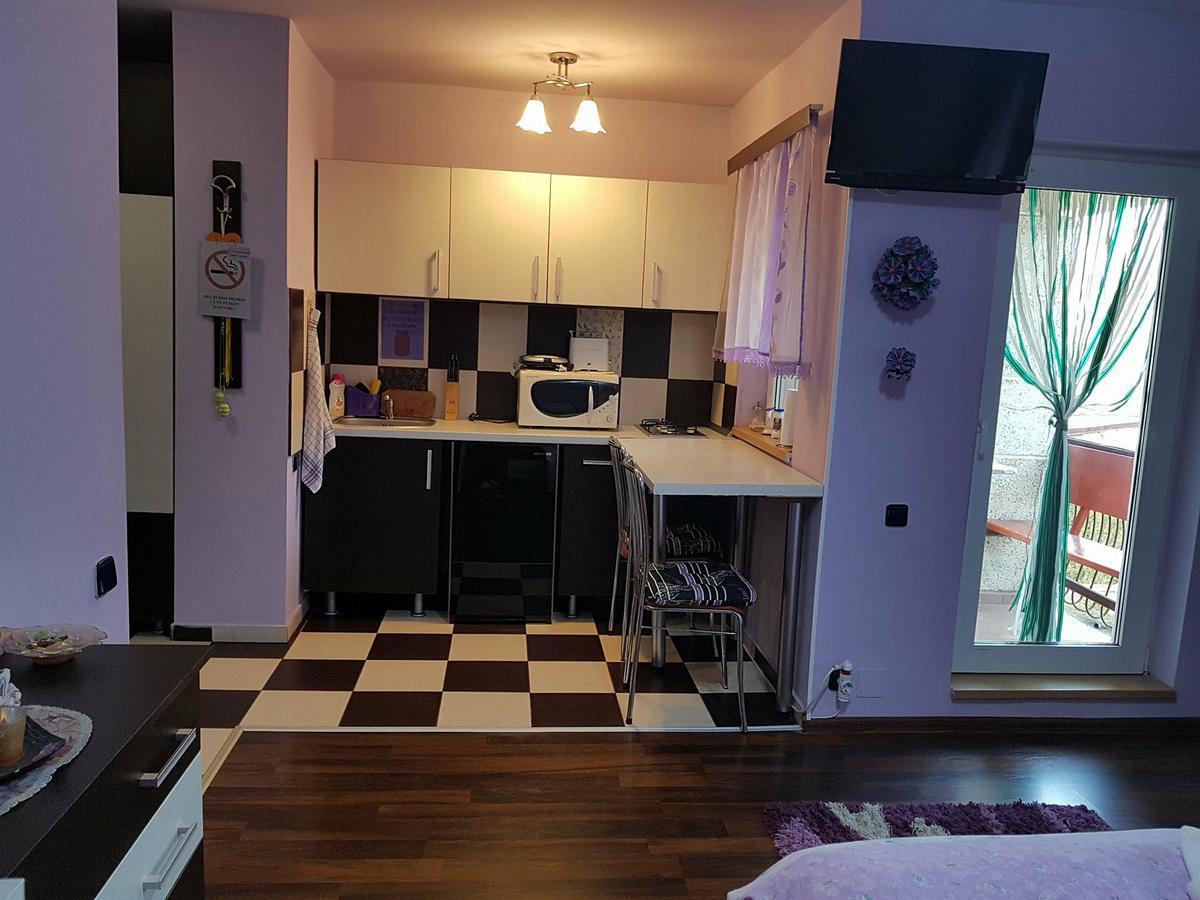 Garsoniera Cristina Apartamento Băile Felix Exterior foto