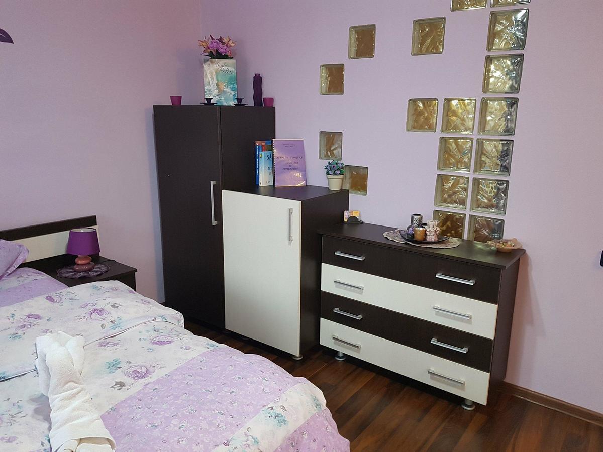 Garsoniera Cristina Apartamento Băile Felix Exterior foto