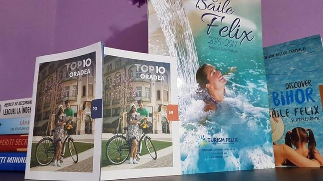 Garsoniera Cristina Apartamento Băile Felix Exterior foto