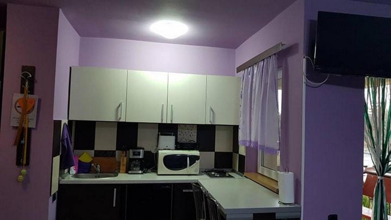 Garsoniera Cristina Apartamento Băile Felix Exterior foto